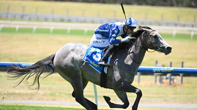 My Gladiola was ultra impressive landing the Blue Diamond Preview on debut Picture: Vince Caligiuri