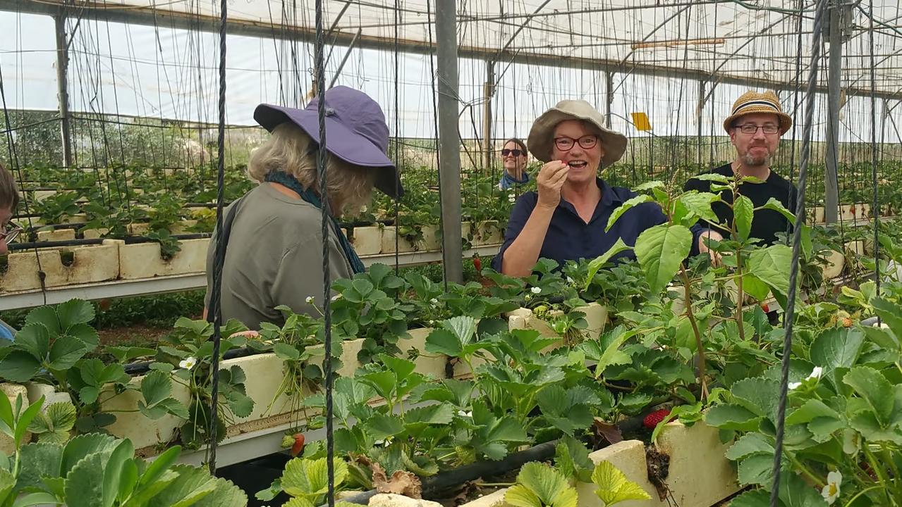 Greens Senator David Shoebridge (right) on an APAN study tour.