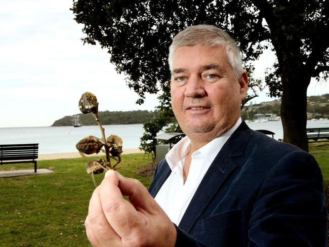 Cr Roy Bendall with seed pods from the Norfolk Island hibiscus tree. Picture: Annika Enderborg