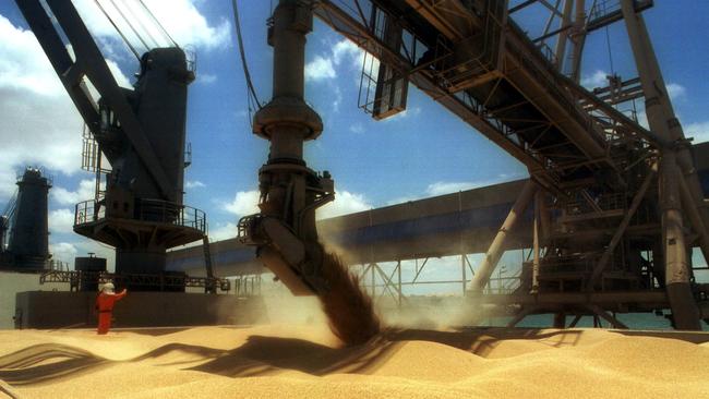 Malt barley in a ship's hold. Picture: File