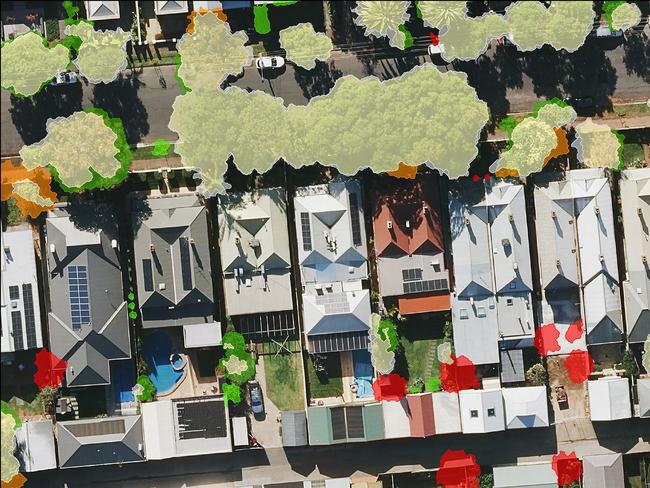 Unley Council and start-up company Forestree have developed an app that measures and monitors residential tree canopy in the area. Users can search residential addresses to visualise and understand how the tree canopy on their property has changed over time. The work began in 2018 when Unley partnered with SA geospatial company Aerometrex to undertake extensive aerial surveys using laser mapping (LiDAR). The survey was repeated in2021. Credit: Unley Council