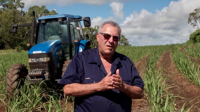 Canegrowers Queensland chairman Paul Schembri.