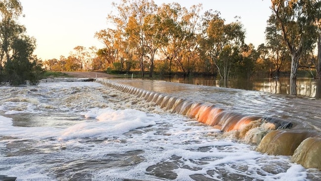 A marketing image taken on the Reardon’s farm. Picture: JLL.