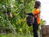 ‘Anti-farming’: MP criticises changes to Palm Scheme