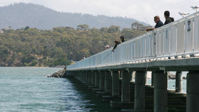 Hobart youth Ethan William Seabourne will fight allegations of animal cruelty next month following claims he was involved in the torture of a seagull at the Midway Point causeway.