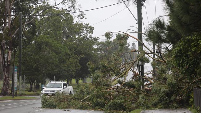 A tree down in Musgrave Ave Southport. Picture Glenn Hampson