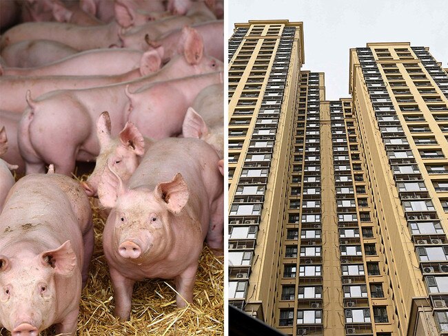 Pig skyscraper plan for China