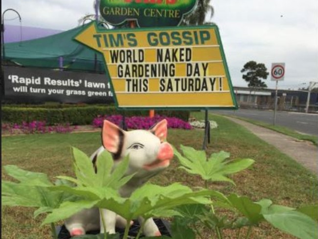 Campbelltown's Pig promotes World Naked Gardening Day.