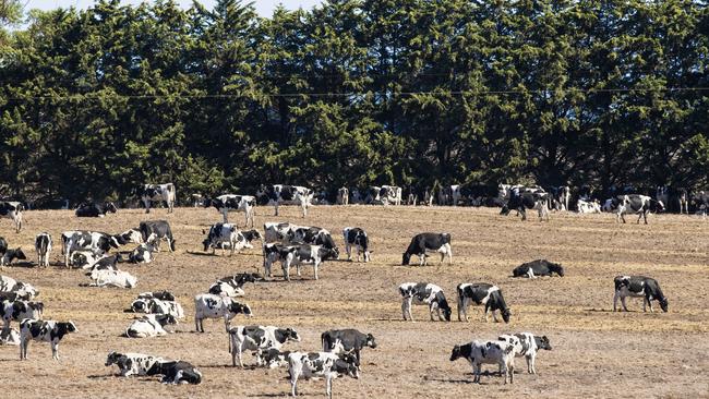 Premier Jacinta Allan is about to see the true impact of drought on south west farmers, who desperately need financial support.