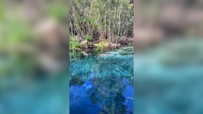 Thermal pool in Aussie rainforest goes viral