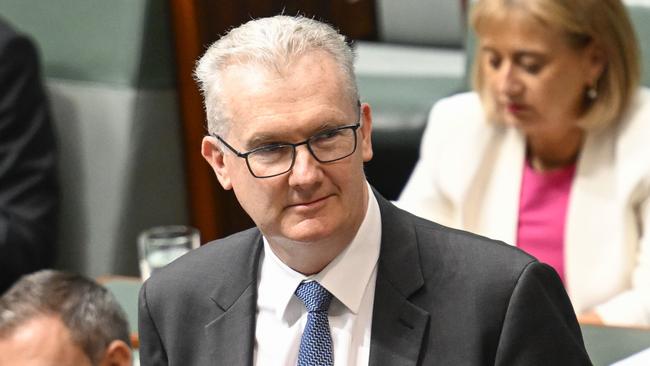 Immigration Minister Tony Burke. Picture: NewsWire / Martin Ollman