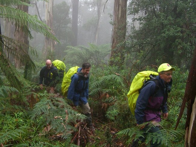 Mt Dom Dom. Bushwalkers search and rescue for Warren Meyer.