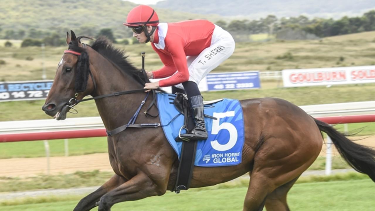 Bobby Is King trialled well at Wyong recently. Picture: Bradley Photos