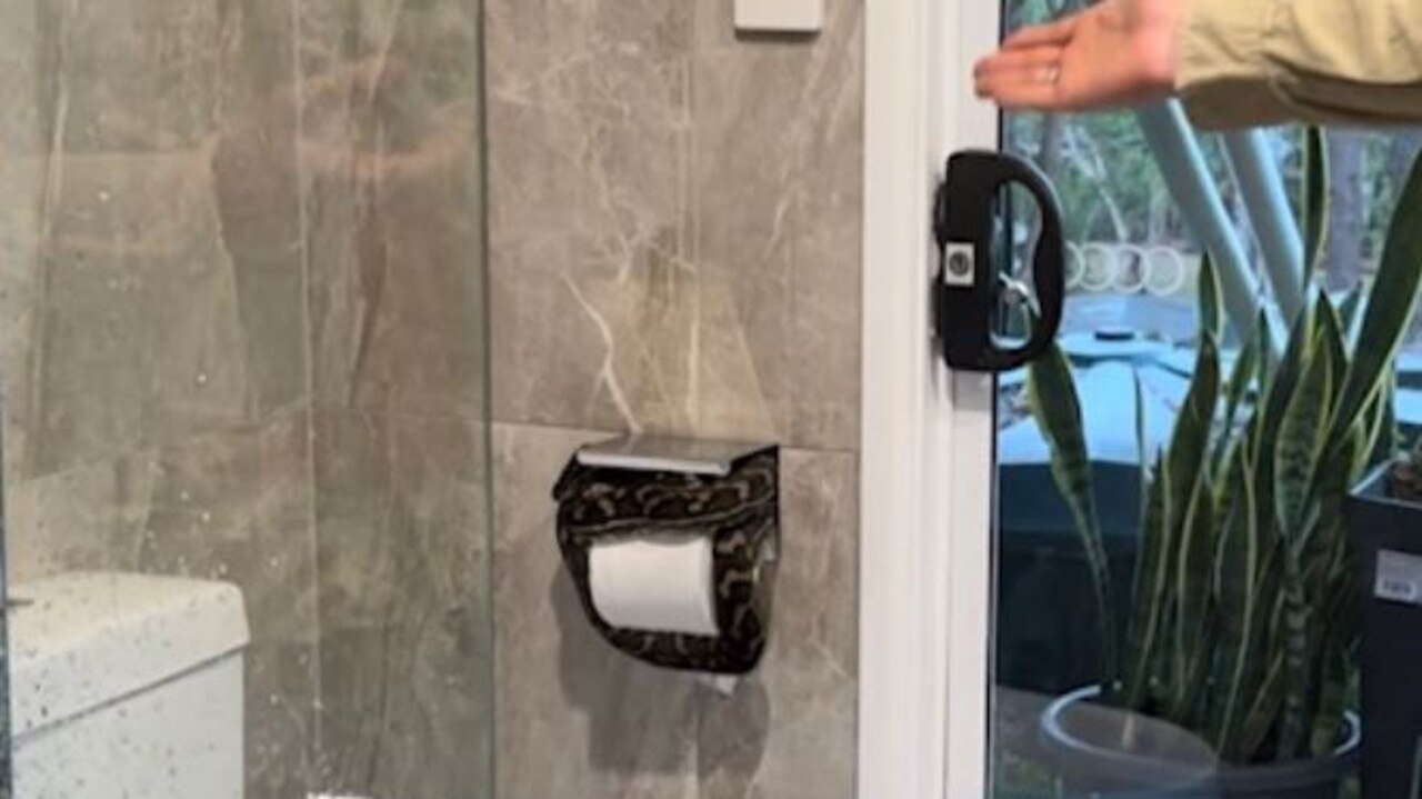 The python made its way into the bathroom of the Doonan home via a hole caused by home renovations. Picture: Snake Catcher Noosa 24/7