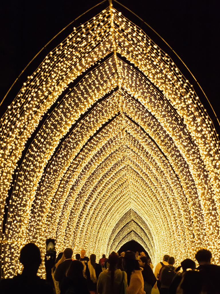 Art installation Cathedral of Light in the Botanic Park at WOMADelaide 2022. Picture: Rob Sferco