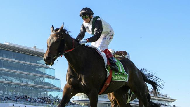 Mr Brightside finished unplaced in the Australian Cup. Picture: Vince Caligiuri/Getty Images