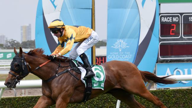 Winner of Race 2 The Carpenter ridden by Scott Galloway at the Gold Coast Turf Club. (Photo/Steve Holland)