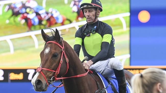 Nash Rawiller had a winner on Little Cointreau. Picture: Bradley Photos