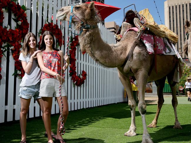 Twins Savannah and Darcy Goryan with camels at RCC in Victoria Square. Picture: Calum Robertson