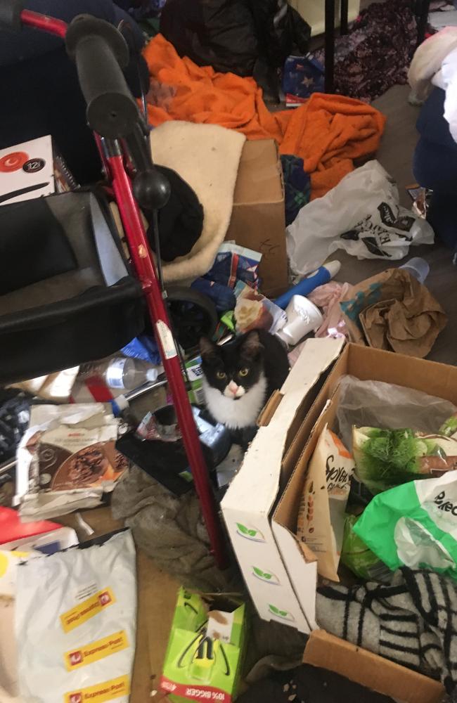 Some 25 pets were found living in filthy conditions in a Caboolture home as their owner struggled to care for them, as well as her ailing mother. Picture: RSPCA