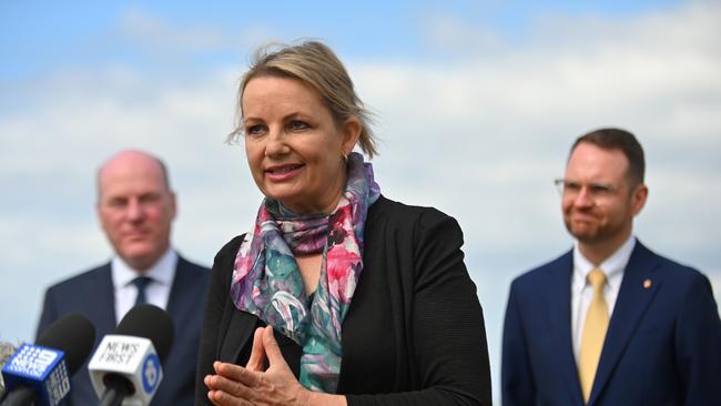 Protesters fighting for the future of the Gympie Pyramid have asked Sussan Ley and the Environment Department to give it a stay of execution. Picture: NCA NewsWire / Steven Saphore