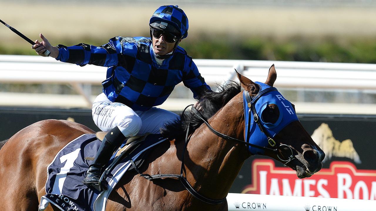 Damian Browne and Group 1 star Buffering were a perfect match. Picture: Daniel Wilkins