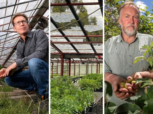 ‘Heartbroken’: Farmers left shattered after freak hailstorm