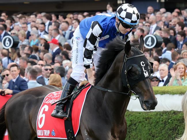 Gold Trip (FR) on the way to the barriers prior to the running of the Ladbrokes Cox Plate at Moonee Valley Racecourse on October 22, 2022 in Moonee Ponds, Australia. (Photo by George Sal/Racing Photos via Getty Images)