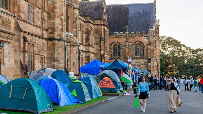 Pro-Palestine protests at the University of Sydney in May. Picture: Justin Lloyd