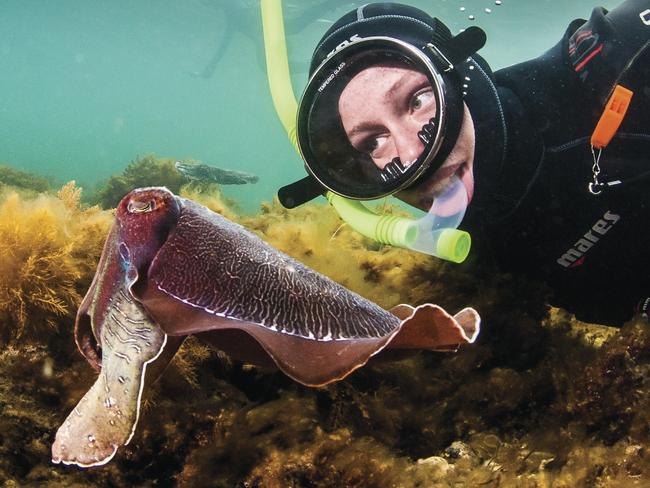 #4 - Snorkelling with giant Australian cuttlefish Upper Spencer Gulf Marine Park - Image courtesy of South Australian Tourism Commission