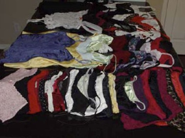 Court photos detailing parts of Williams' stolen lingerie collection.