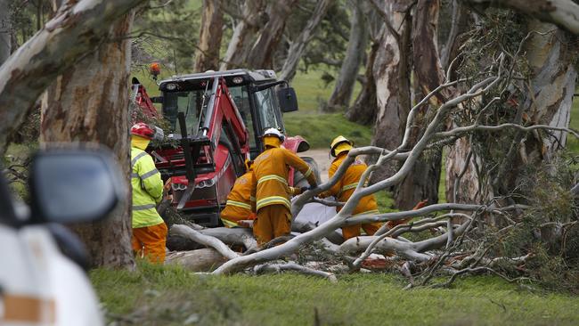 A man was killed by a falling tree on Gladigau Rd at Tungkillo. Picture: Simon Cross