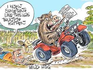 Harry Bruce's take on the possible increase in feral pig numbers as a result of quad bike safety changes. Picture: Harry Bruce