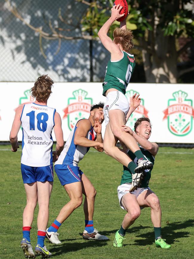 Angus Seivers takes a mark for Greensborough. Picture: George Sal