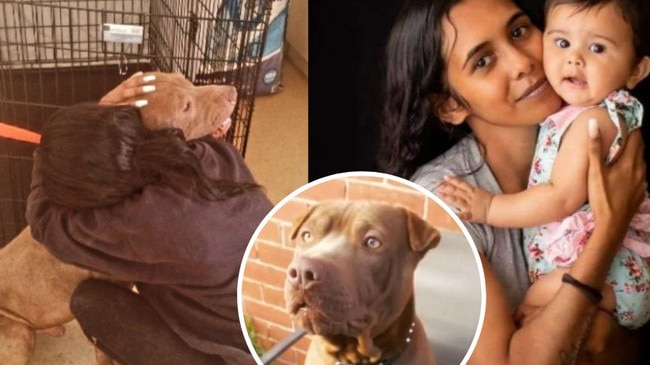 ‘So unfair’: Charlene’s dog put down after scary attack