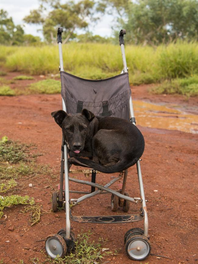 A baby’s stroller has been used to carry containers of water from the nearest public tap after services were disconnected. Picture: Andrew Quilty/Climate Council