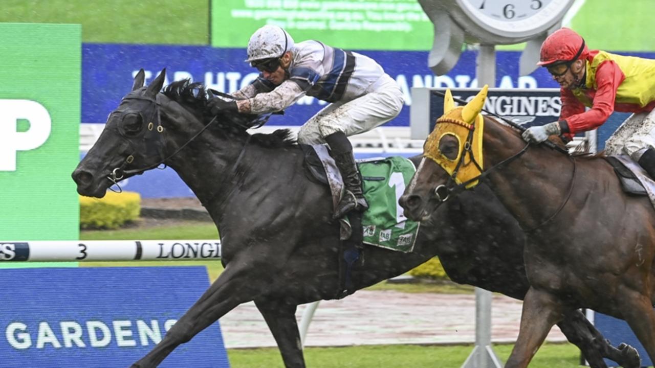 Albury, Scone previews: Bianco Vilano ready to swoop in Cup