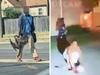 Truth about disturbing ‘cat-eating’ claim