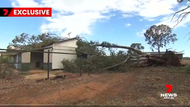 The massive tree fell during Saturday’s storm – and more wild weather is on its way. Picture: 7 News.