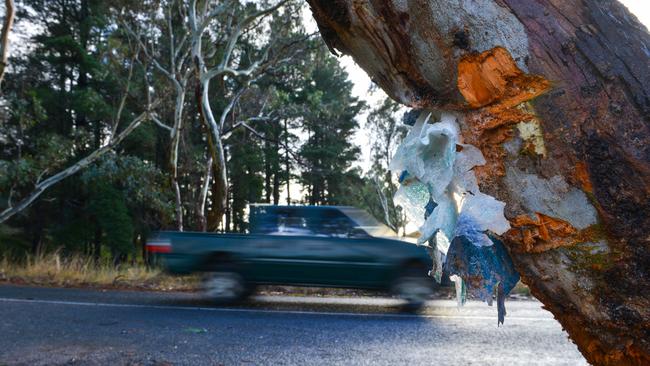 A shattered windscreen is embedded in a tree at the scene of a fatal single car accident on South Ridge Rd, Woodside, South Australia last month. (Pic: Brenton Edwards/AAP)