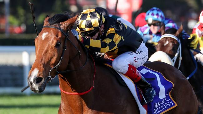 Behemoth will have a hitout between races at Morphettville on Saturday. Picture: Getty Images