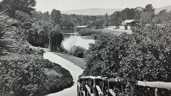 Angas Garden, looking across Torrens, pictured in City of Adelaide's Parks, Gardens and Children's Playgrounds booklet, 1928, close to the end of Pelzer’s tenure.