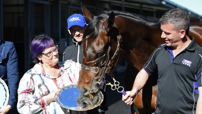 Racehorse Winx is seen with the 2017 Cox Plate Trophy at the Waller Stables between Debbie Kepitis (Left), Ben Caddie (2nd from left) and Umut Odemislioglu at Flemington Racecourse in Melbourne in 2017 (AAP Image/James Ross)