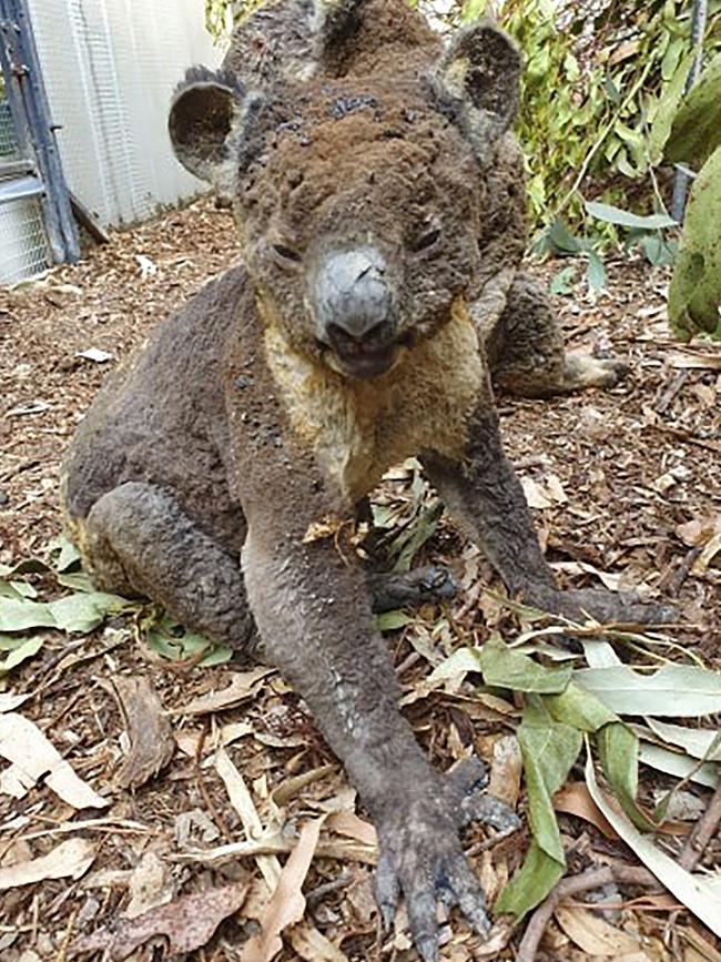 Devastating wildfires over recent days have undone decades of careful conservation work on Kangaroo Island. Picture: Dana Mitchell