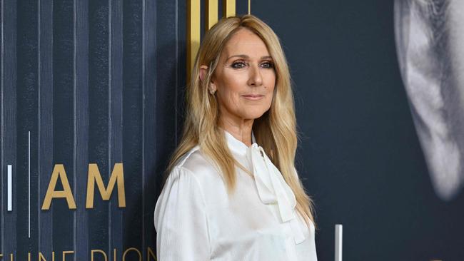 Was Celine Dion aboard the Titanic? You have to see Titanique to find out. Picture: ANGELA WEISS / AFP.