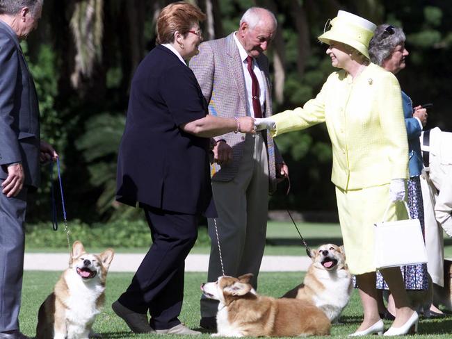 <b>2002 – Adelaide</b> The Queen was all smiles as she met corgi owners and their dogs from Adelaide Hills Kennel Club on her Golden Jubilee tour. With news reports at the time focused on controversy surrounding then Governor-general Peter Hollingworth, corgi breeder Harry Paynter told the press: “This is about the best part of the tour because she won’t get any arguments from the dogs, so best part of the tour – no controversy.” Later at Adelaide Festival Hall the Queen declared her “admiration, affection and regard for the people of Australia will remain, as it has been over these past 50 years, constant, sure and true.”