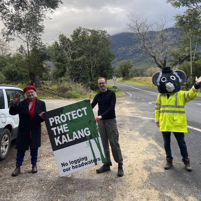 David Shoebridge protesting against logging in Nambucca state forest. Picture: Twitter