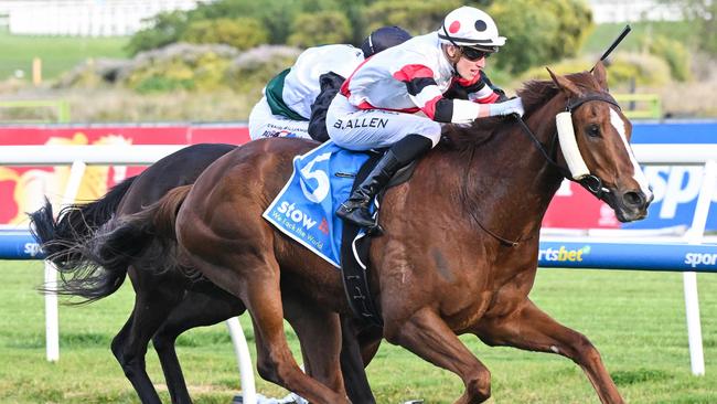 Pinstriped defeated Mr Brightside in the Group 1 Memsie Stakes last spring. Picture: Reg Ryan/Racing Photos via Getty Images