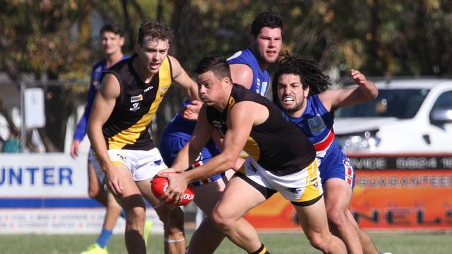 Steve Stroobants broke through for his first win as Rochester coach with a strong performance. Photo: Aaron Cook