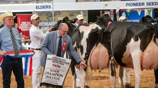 International dairy week at Tatura.